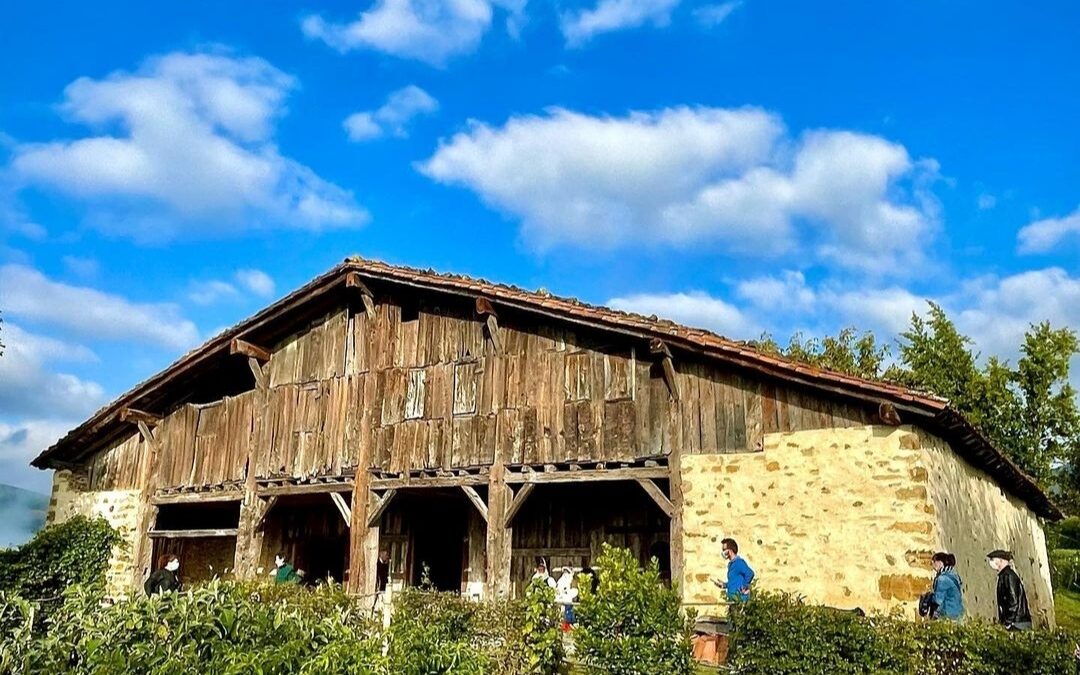 Residencia artística Ars Natura con dotación económica de hasta 5.000€ para desarrollar tu proyecto.