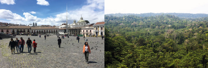 Ofrecer un espacio para realizar residencias de arte en Quito y la Amazonía.