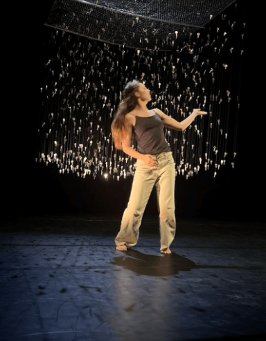 ALF in Motion | Fondos de movilidad intercultural
