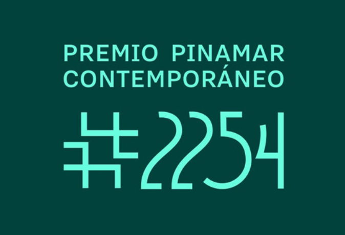 Premio Pinamar Contemporáneo #2254 – Fundación ArteBA (Argentina)