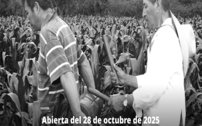 XVII Concurso Nacional de Fotografía – México